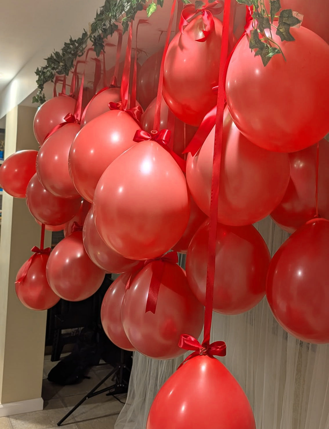Red Balloons, 24Pcs 18Inch Red Latex Balloon for Birthday Decoration Large Birthday Balloons for Wedding Decorations, Party Balloons for Birthday Valentine's Day Anniversary Engagement Christmas