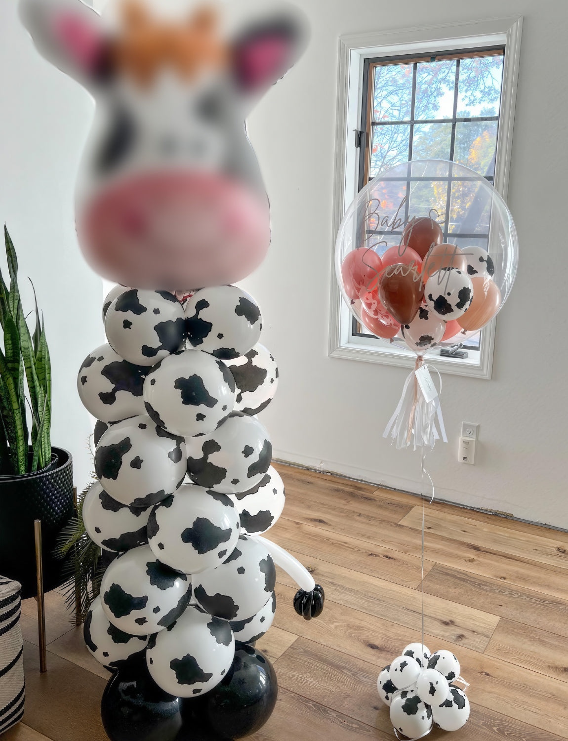 Adeyoo 50 PCS Cow Print Balloons - 12 Inch Cute Cow Balloons Inflatable Cowboy Balloon, Bright Party Balloon for Western Cowboy Cowgirl Farm Farmhouse Birthday Party Decorations
