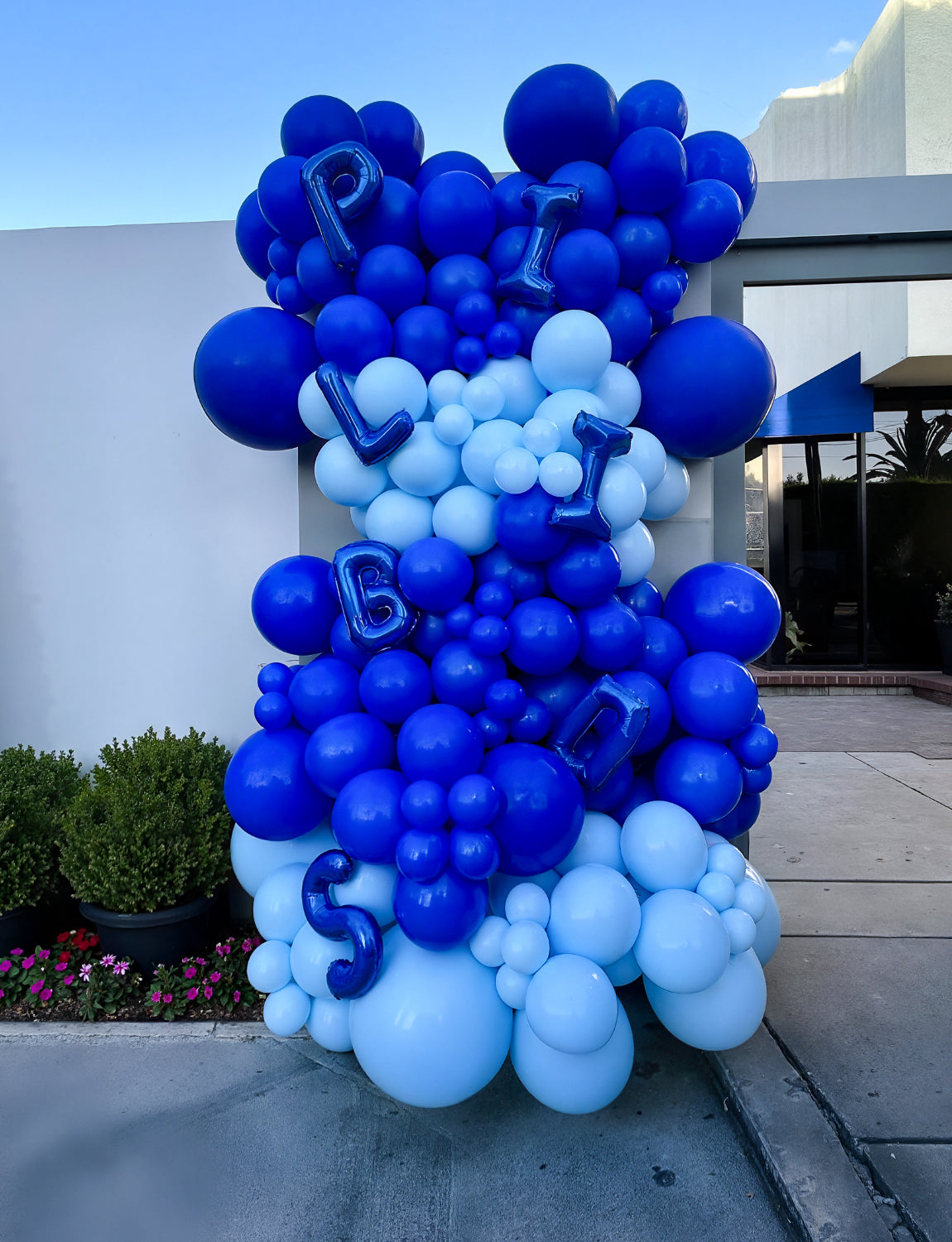 Adeyoo Royal Blue Balloons - 12 Inch Royal Blue Balloons 50 Pcs Round Latex Balloon Party Balloon for Birthday Baby Shower Wedding Anniversary Party Decorations, Photo Backdrop Supplies
