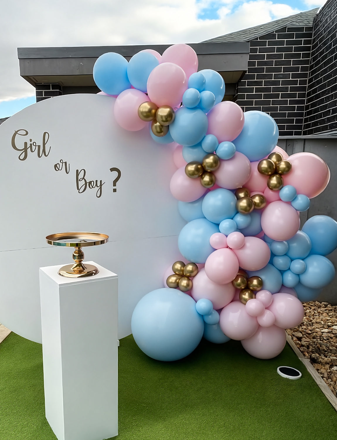 Adeyoo Pink and Blue Balloon Arch Kit Garland - Gender Reveal Balloon Arch Pink and Blue Balloons Gold Metallic Latex Balloons for Baby Gender Reveal Baby Shower Christening Birthday Party Decorations